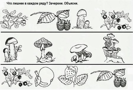 Грибы задания для дошкольников