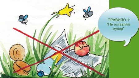 Не мусорить на природе