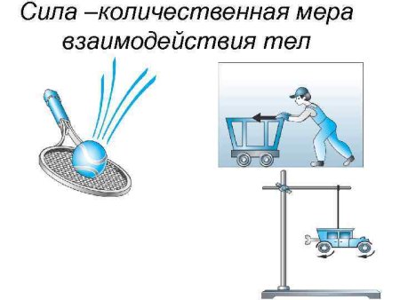 Сила упругости для детей
