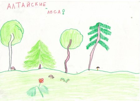 Рисунок Приморский край детский