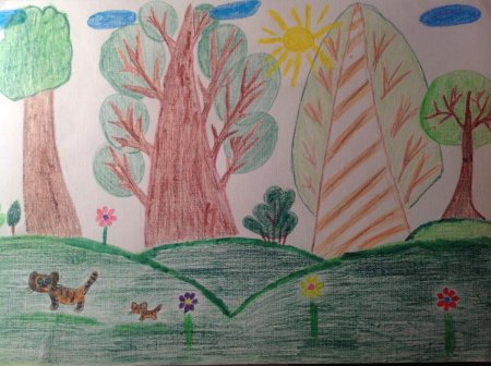 Что такое заповедник для детей