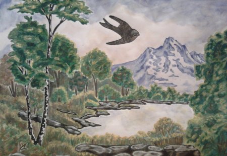 Рисунок на тему заповедные уголки родного края