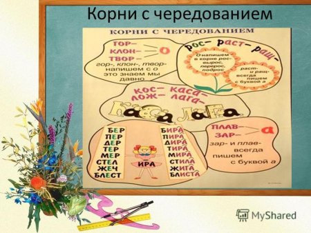 Чередование корней