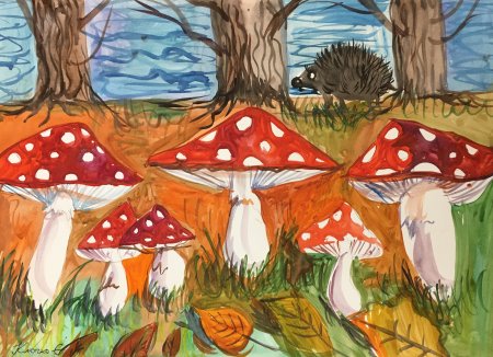 Рисование грибы в старшей группе