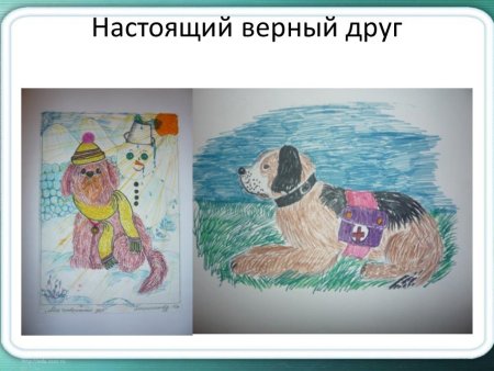 Собака друг человека рисунок