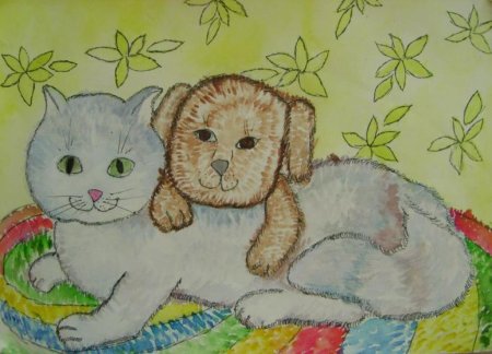 Рисунки бездомных животных