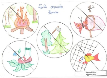 Рисование экологических знаков