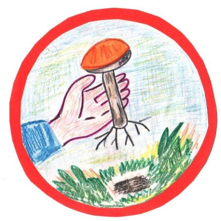 Знаки защиты природы