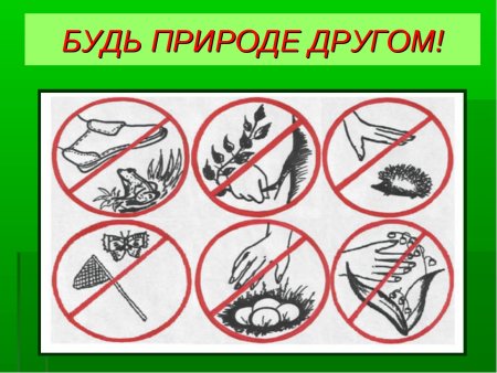 Экологические знаки