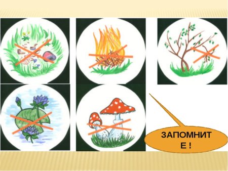 Экологические знаки