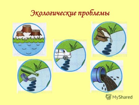 Рисование экологических знаков