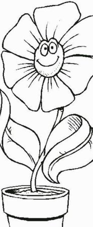 Фиалка узамбарская рис