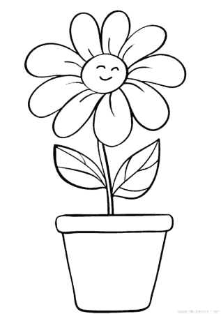 Комнатные растения раскраска