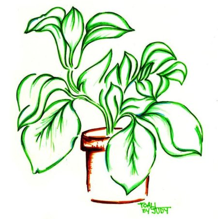 Цветок в горшке раскраска