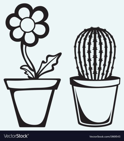 Раскраска комнатные растения для детей