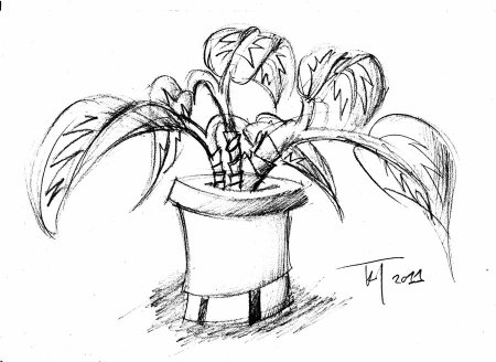 Цветок в горшке раскраска