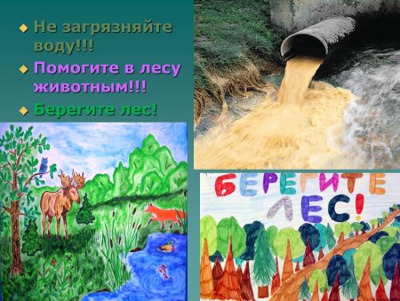 Не загрязнять природу