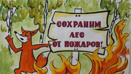 Спасём лес от пожара рисунки