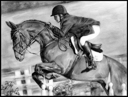 Раскраски с лошадьми конкур