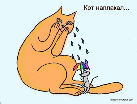 Кот наплакал фразеологизм