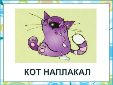 Кот наплакал рисунок