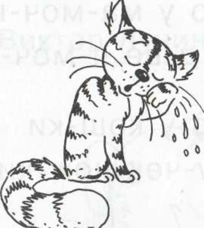 Кот наплакал фразеологизм