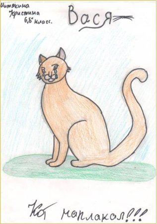 Кот наплакал иллюстрация