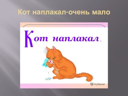 Кот наплакал значение фразеологизма