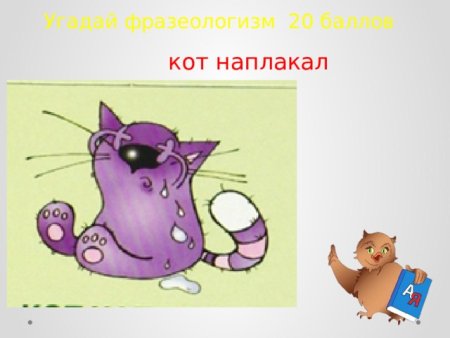 Картинка к фразеологизму кот наплакал