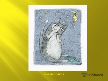 Кот наплакал иллюстрация