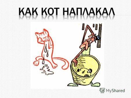 Кот наплакал фразеологизм