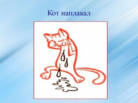 Рисунок к фразеологизму кот наплакал