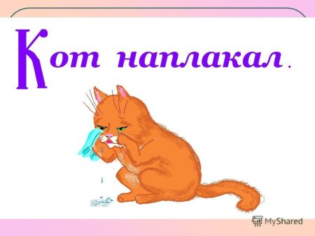 Кот наплакал значение фразеологизма