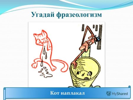 Кот наплакал фразеологизм