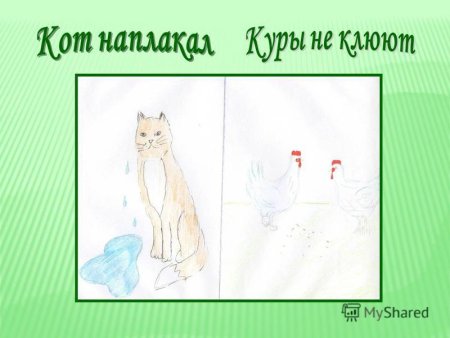 Кот наплакал