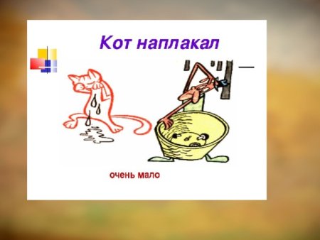 Фразиологизм "кот на плакал
