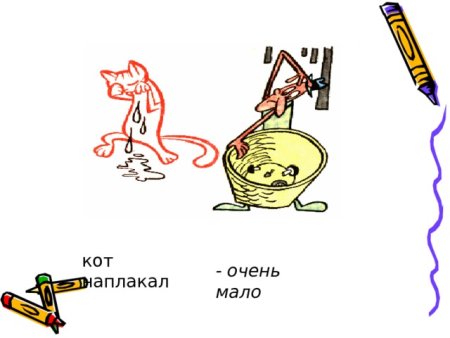 Кот наплакал