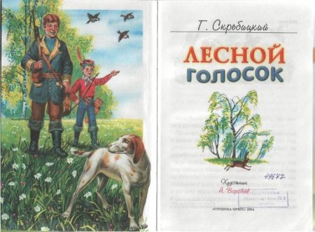 Элементы страницы книги