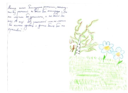 Письмо благодарности растениям 3 класс