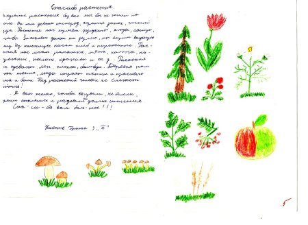 Спасибо растениям окружающий мир