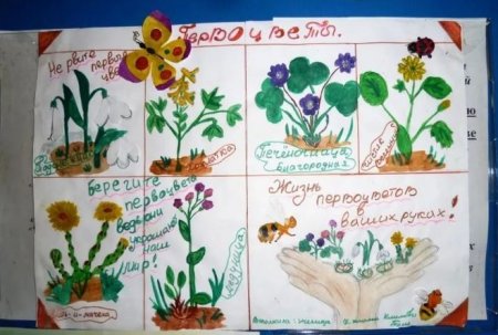 Плакатытна тему экологии