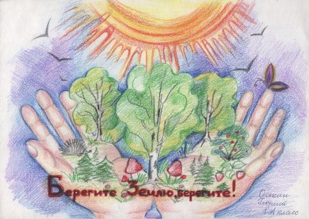 Плакат в защиту дикорастущих растений