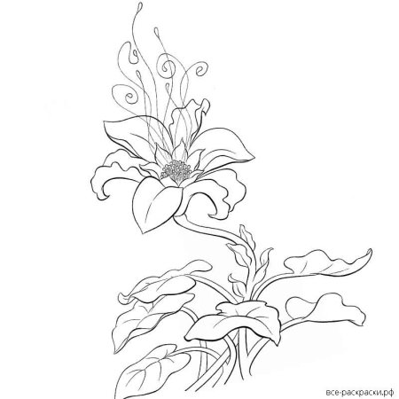 Цветик семицветик