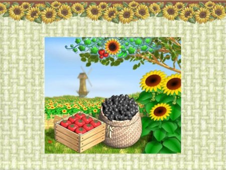 Проект про Кубань