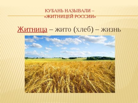 Кубань Житница Кубани