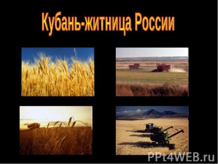 Кубань Житница здравница и Жемчужина России