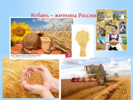 День образования Краснодарского края рисунки детей