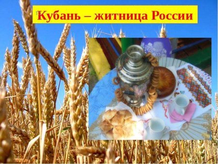 Плетень с подсолнухами казачий двор