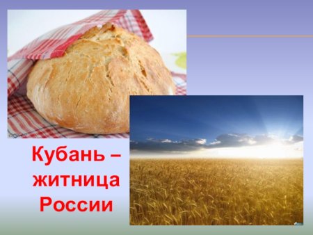 Кубановедение проект Кубань Житница России