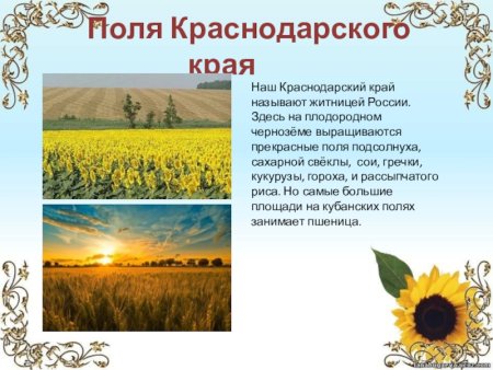 Казак с казачкой Кубань